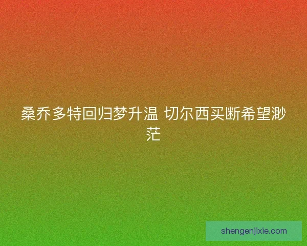 桑乔多特回归梦升温 切尔西买断希望渺茫